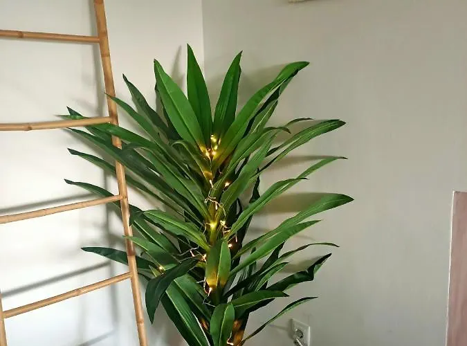 아파트 Wonderful Seaviews Only Adults